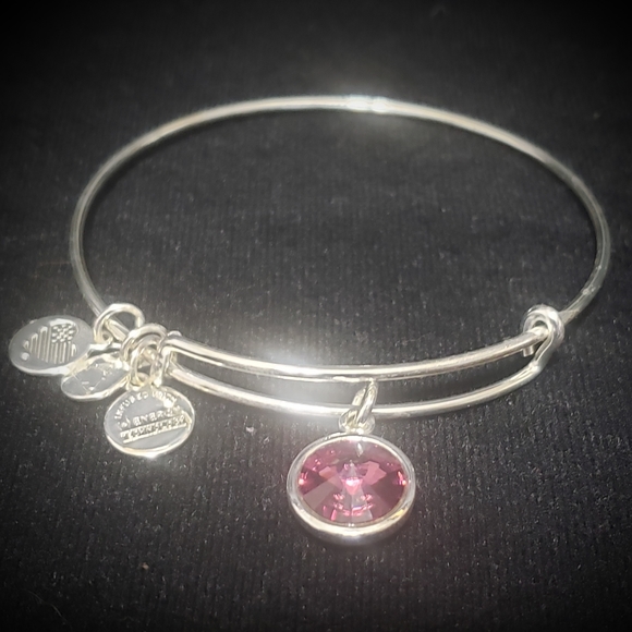 NWOT Alex & Ani RS February Swarovski Bracelet - Picture 9 of 11